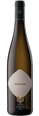Nosiola Trentino Cantina Lavis